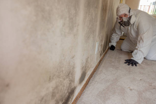 Best Asbestos and Lead Testing During Mold Inspection  in Malakoff, TX